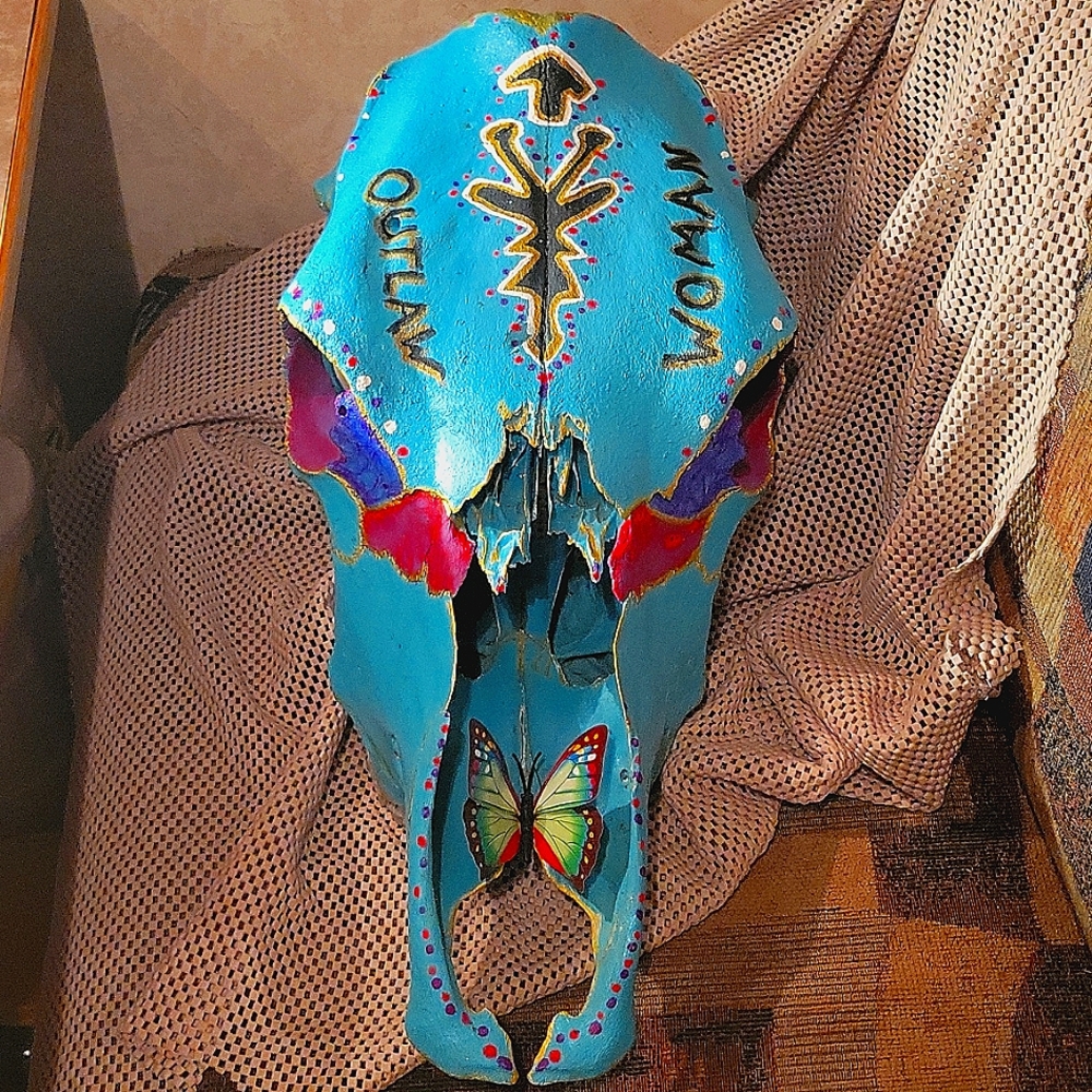 Cow Skull